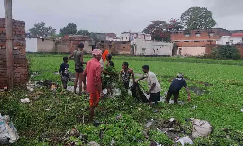 रायपुर : सतबहनिया तालाब जलकुंभी मुक्त रायपुर : सतबहनिया तालाब जलकुंभी मुक्त
