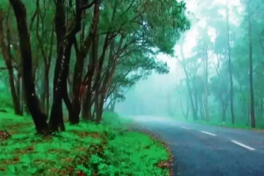 Kerala में पोनमुडी, मुन्नार और अन्य प्रमुख पर्यटन स्थल बंद Kerala में पोनमुडी, मुन्नार और अन्य प्रमुख पर्यटन स्थल बंद