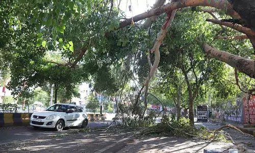 आंधी-तूफान का कहर, एक व्यक्ति की मौत, Jalandhar शहर में बिजली गुल