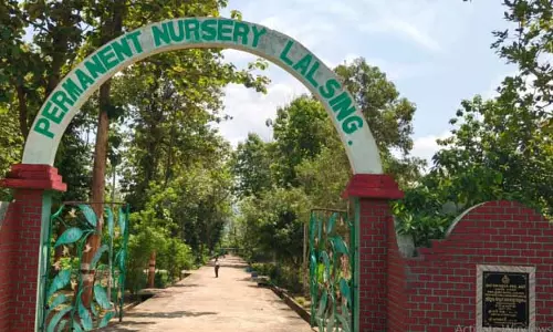 103 साल पुराने भंजनगर डीएफओ कार्यालय को जल्द मिलेगा नया पता
