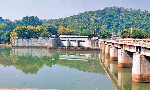 Odisha: इंद्रावती की बायीं मुख्य नहर की हालत खराब, किसान परेशान