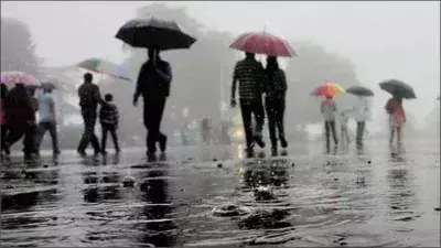 Assam में समय से पहले मानसून की दस्तक, आईएमडी ने दी 72 घंटे की बारिश चेतावनी Assam में समय से पहले मानसून की दस्तक, आईएमडी ने दी 72 घंटे की बारिश चेतावनी