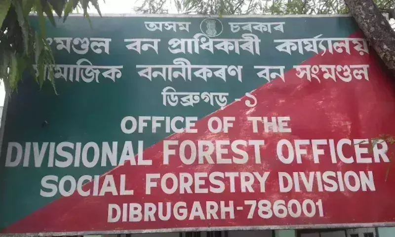 3.3 लाख पेड़ या 3.3 लाख झूठ Assam वन विभाग पर पौधा घोटाला का आरोप 3.3 लाख पेड़ या 3.3 लाख झूठ Assam वन विभाग पर पौधा घोटाला का आरोप