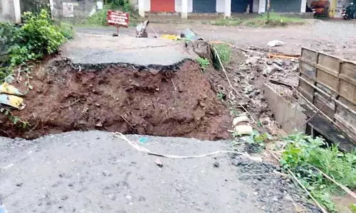 अट्टापडी में व्यापक विनाश; एक पेड़ सड़क पर गिर गया