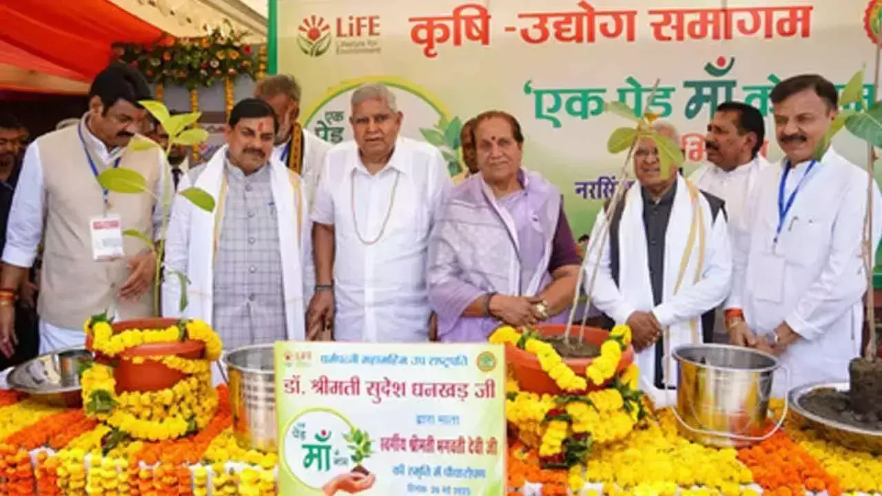 Vice Presidents का कृषि सुधार पर जोर, अक्टूबर में पीएम यादव से होगी मुलाकात