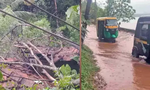 पहाड़ी पर भारी बारिश और हवा; महंगी क्षति