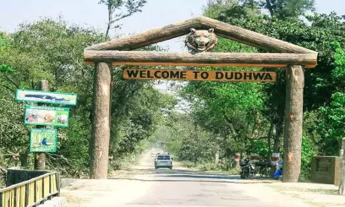 Lucknow: थारू संस्कृति को पर्यटन की पहचान बनाने इको टूरिज्म बोर्ड का कदम