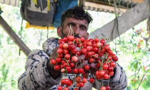 J&K से मुंबई तक पहली चेरी कार्गो ट्रेन अगले महीने चलेगी J&K से मुंबई तक पहली चेरी कार्गो ट्रेन अगले महीने चलेगी