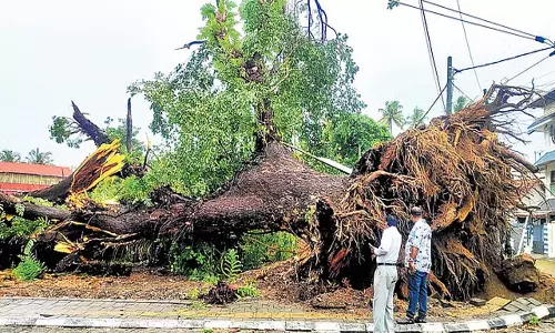 आईएमडी ने केरल के 11 जिलों के लिए रेड अलर्ट जारी किया; भारी बारिश के कारण नौ जिलों में स्कूल बंद आईएमडी ने केरल के 11 जिलों के लिए रेड अलर्ट जारी किया; भारी बारिश के कारण नौ जिलों में स्कूल बंद