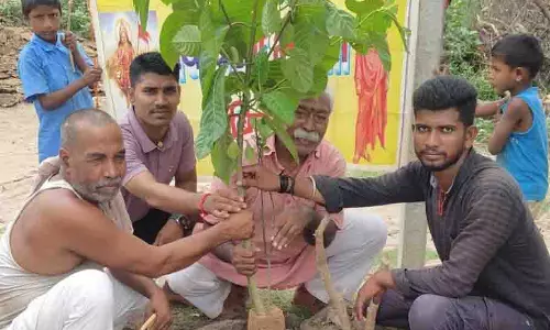 चैती दुर्गा मंदिर परिसर पिपरिया में आयोजित किया गया पौधारोपण