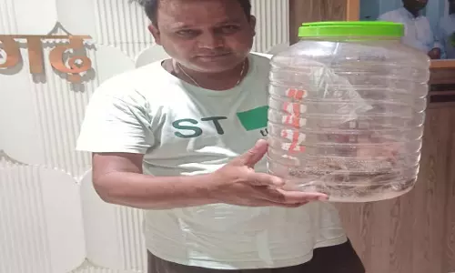 CG BREAKING: पूर्व गृहमंत्री के निवास में निकला नाग, देखें VIDEO...