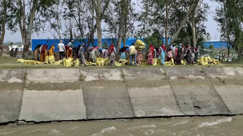 Haryana : बालसमंद नहर टूटने से हिसार गांव के खेत जलमग्न Haryana : बालसमंद नहर टूटने से हिसार गांव के खेत जलमग्न