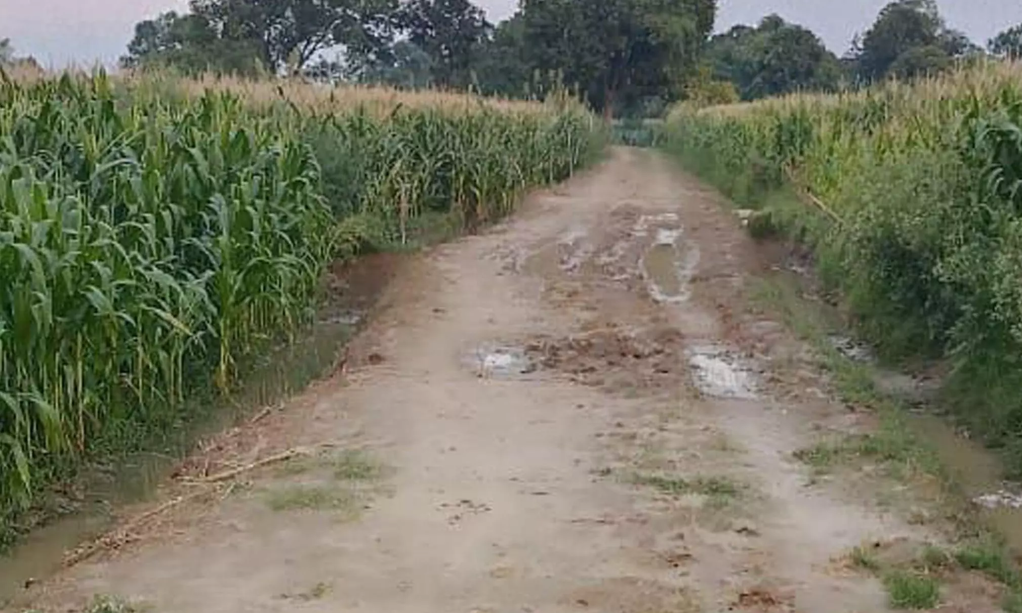 Shamshabad: ऊगरपुर का प्रधान व रोजगार सेवक डाल रहे मनरेगा योजना में डांका Shamshabad: ऊगरपुर का प्रधान व रोजगार सेवक डाल रहे मनरेगा योजना में डांका