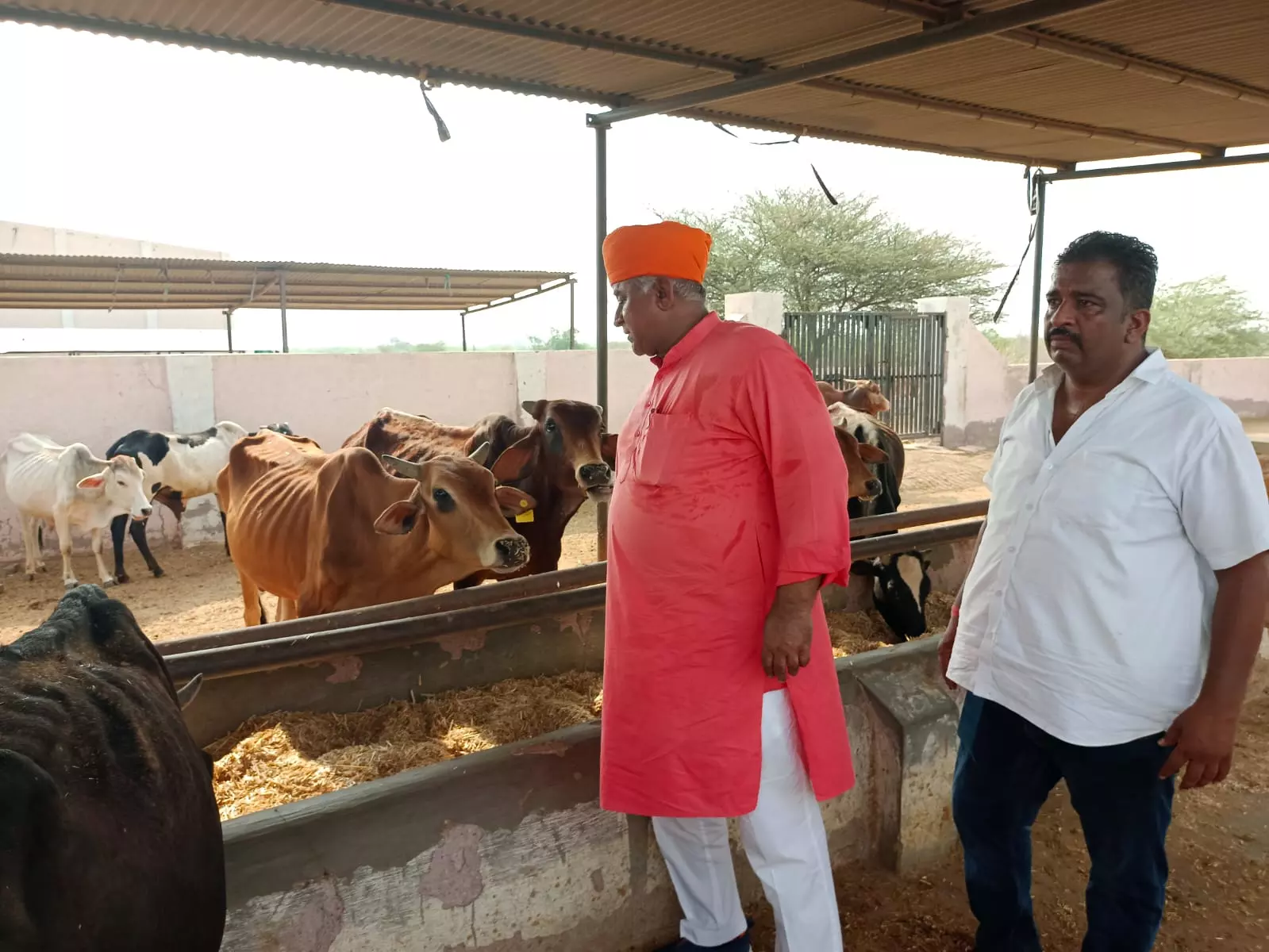 Bikaner: विधायक जेठानंद व्यास ने कांजी हाउस में देखी व्यवस्थाएं, सुधार पर जताया संतोष Bikaner: विधायक जेठानंद व्यास ने कांजी हाउस में देखी व्यवस्थाएं, सुधार पर जताया संतोष