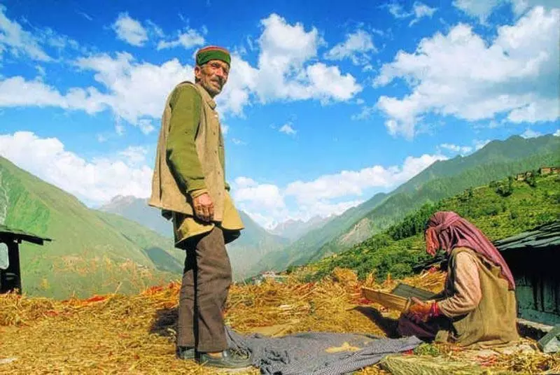 बांध तो बन गया, Kangra के किसानों को सिंचाई का पानी नहीं बांध तो बन गया, Kangra के किसानों को सिंचाई का पानी नहीं