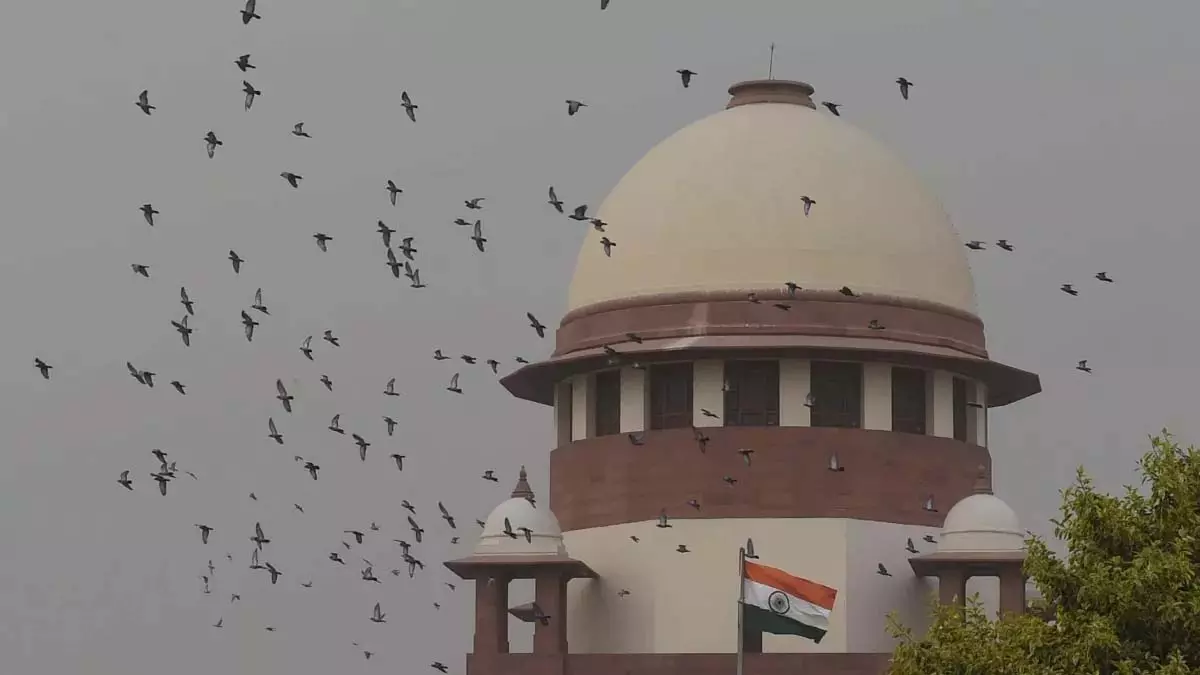 राज्य की निजी कंपनियों में पासपोर्ट ले लें तो बांके बिहारी मंदिर मामले में सुप्रीम कोर्ट ने UP सरकार कहा राज्य की निजी कंपनियों में पासपोर्ट ले लें तो बांके बिहारी मंदिर मामले में सुप्रीम कोर्ट ने UP सरकार कहा