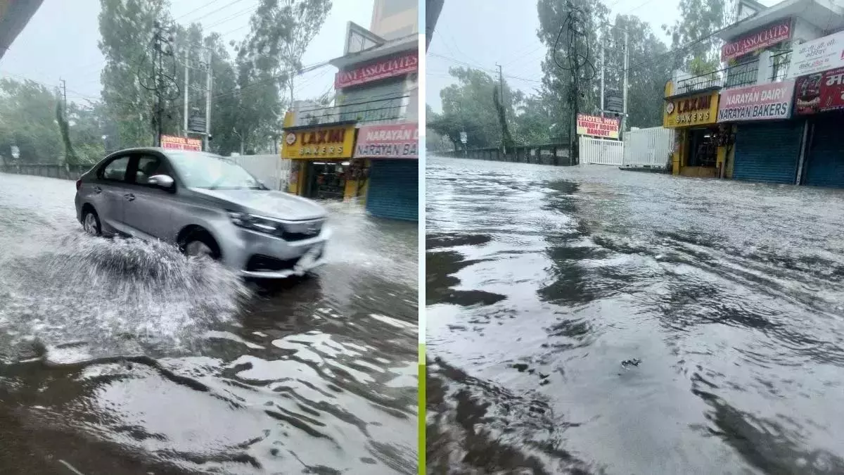 Seelampur में सीवर और नालों के ओवरफ्लो से लोग परेशान, निगम ने अपनी जिम्मेदारी से पल्ला झाड़ा Seelampur में सीवर और नालों के ओवरफ्लो से लोग परेशान, निगम ने अपनी जिम्मेदारी से पल्ला झाड़ा