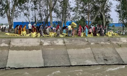 Haryana :  बालसमंद नहर टूटने से हिसार गांव के खेत जलमग्न
