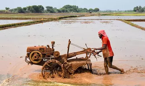 Sundargarh में जल्दी बारिश होने पर धान उत्पादक खरीफ की खेती की तैयारी में जुटे Sundargarh में जल्दी बारिश होने पर धान उत्पादक खरीफ की खेती की तैयारी में जुटे