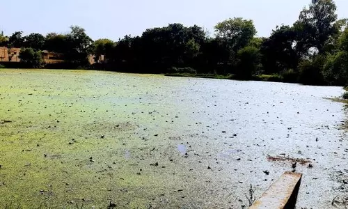 Punjab: मानसून से पहले 15,000 ग्रामीण तालाबों की सफाई की जाएगी