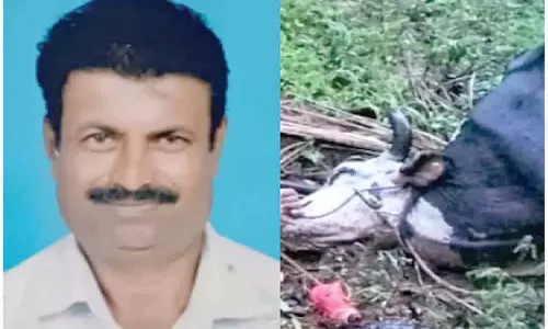 नंजनगुड तालुक में एक व्यक्ति और एक मवेशी की करंट लगने से मौत