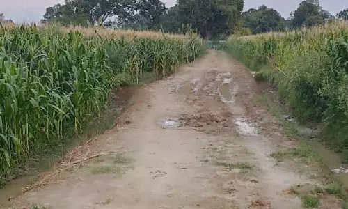 Shamshabad: ऊगरपुर का प्रधान व रोजगार सेवक डाल रहे मनरेगा योजना में डांका