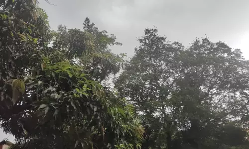 रायपुर में काली घटा, जोर जोर से गरज रहे बादल