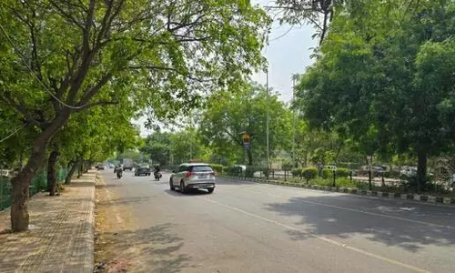 Gurugram: मेट्रो के लिए 1,300 पेड़ काटने की मिली मंजूरी