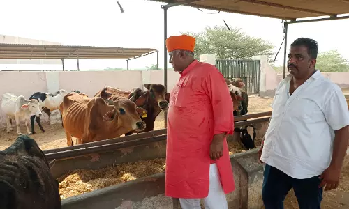 Bikaner: विधायक जेठानंद व्यास ने कांजी हाउस में देखी व्यवस्थाएं, सुधार पर जताया संतोष