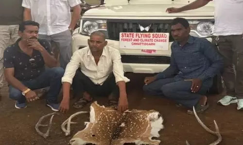रायपुर में हिरण की खाल और सींग पकड़ाया, बेचने की फ़िराक में थे 3 तस्कर