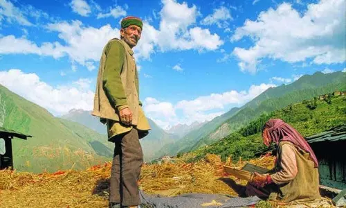 बांध तो बन गया, Kangra के किसानों को सिंचाई का पानी नहीं