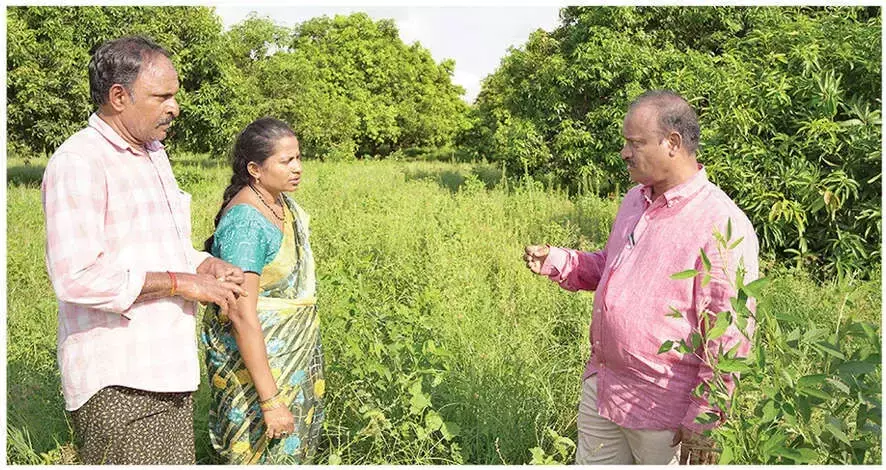Andhra: यह महिला खेती को लाभदायक बना रही है