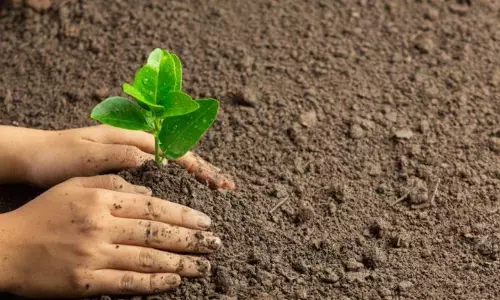 Jharkhand अभियंत्रण सेवा संघ का पर्यावरण संरक्षण अभियान शुरू