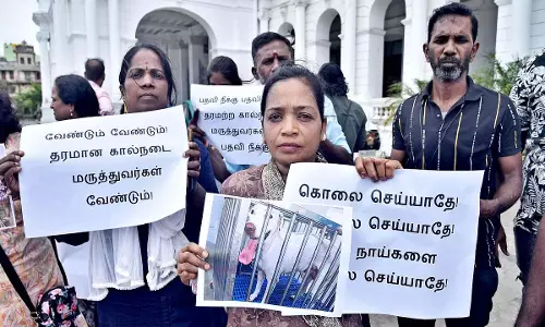 Chennai के पुलियानथोप में ‘खराब’ एबीसी सर्जरी के खिलाफ आंदोलन Chennai के पुलियानथोप में ‘खराब’ एबीसी सर्जरी के खिलाफ आंदोलन
