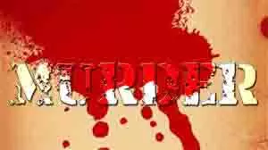 Bahadurgarh Murder: युवक की धारदार हथियार से गला रेतकर हत्या, पार्क में मिला शव Bahadurgarh Murder: युवक की धारदार हथियार से गला रेतकर हत्या, पार्क में मिला शव