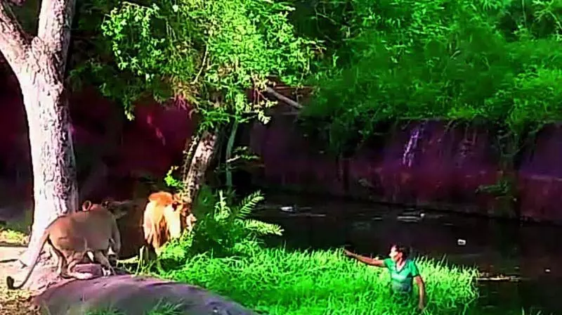 Telangana: नेहरू प्राणी उद्यान में मानसून पूर्व तैयारी Telangana: नेहरू प्राणी उद्यान में मानसून पूर्व तैयारी