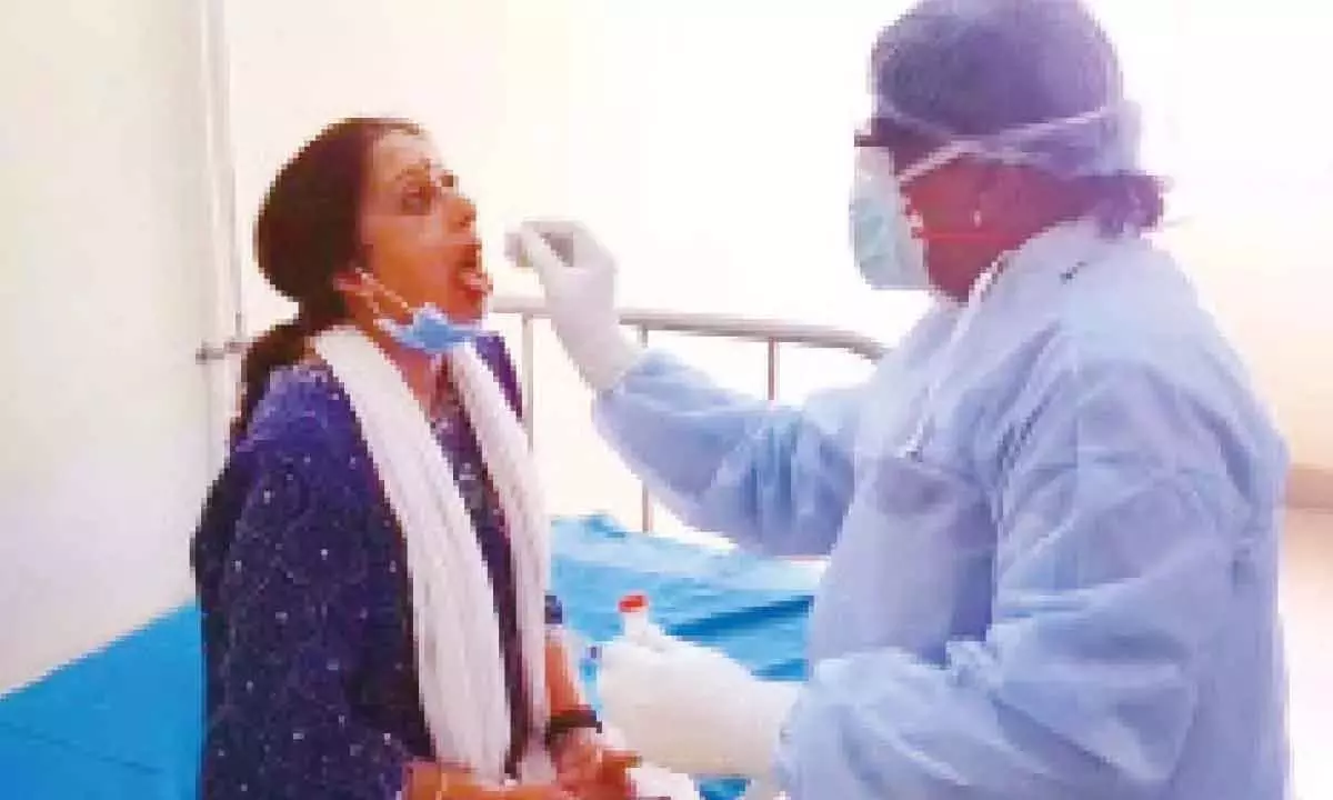 राज्य ने कोविड-19 के मामलों में वृद्धि के कारण जांच अनिवार्य कर दी राज्य ने कोविड-19 के मामलों में वृद्धि के कारण जांच अनिवार्य कर दी