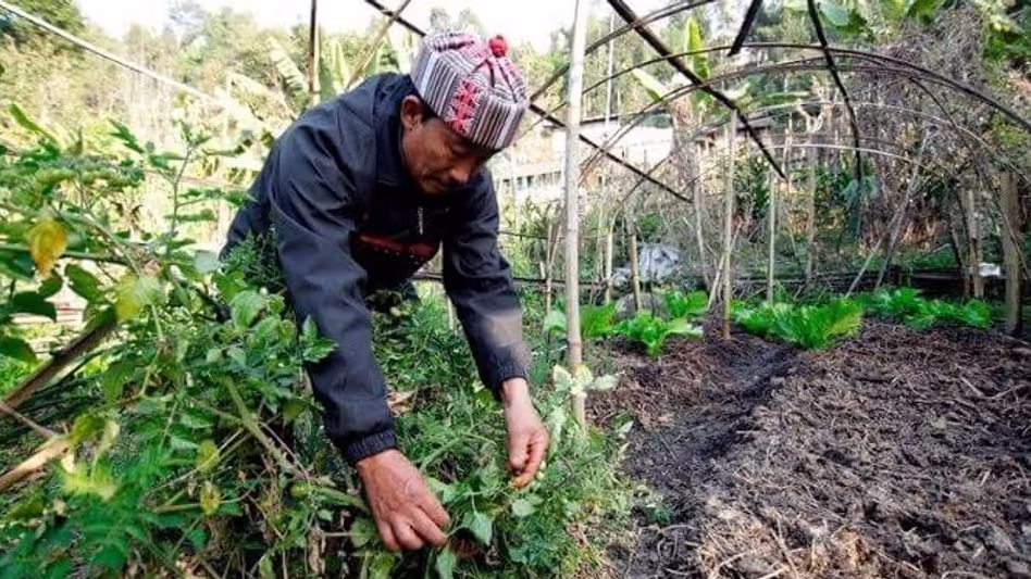 Sikkim ने 76,000 से अधिक किसानों को सशक्त बनाने के लिए Sikkim ने 76,000 से अधिक किसानों को सशक्त बनाने के लिए
