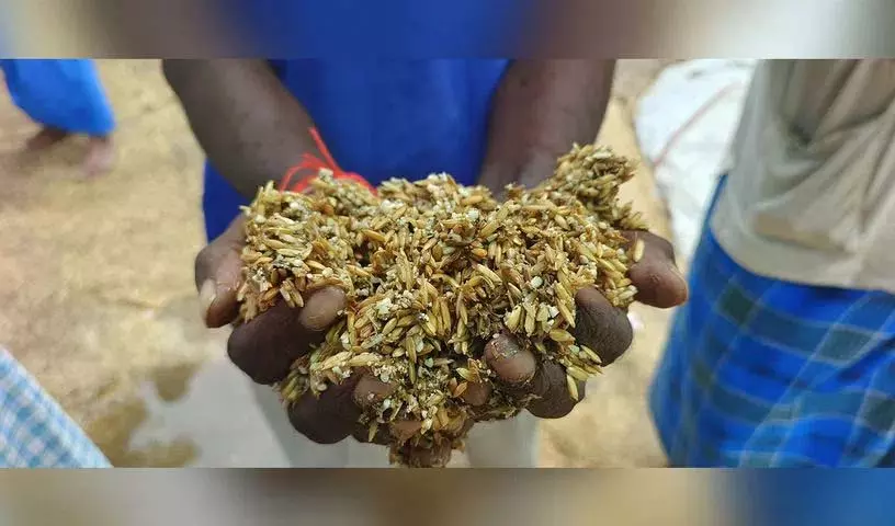 Telangana : धान खरीद में देरी को लेकर किसानों का विरोध प्रदर्शन तेज Telangana : धान खरीद में देरी को लेकर किसानों का विरोध प्रदर्शन तेज