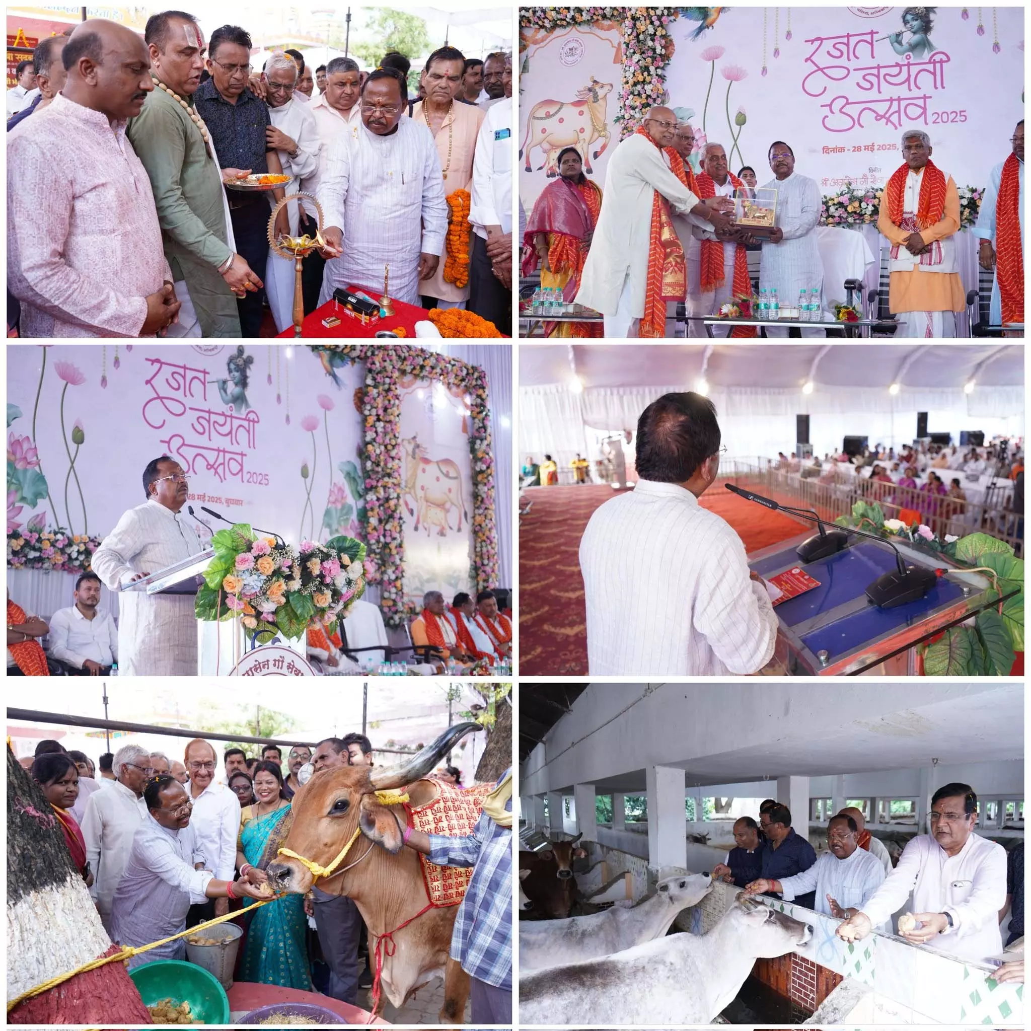 गौ सेवा-जीवन सेवा: मंत्री नेताम गौ सेवा-जीवन सेवा: मंत्री नेताम