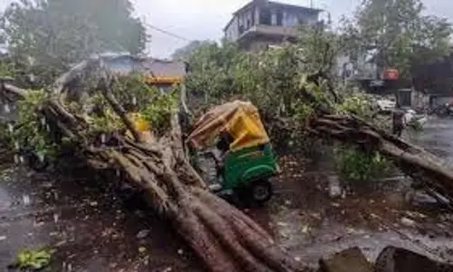 Mumbai : बारिश का कहर,पेड़ गिरने से एक की मौत, एक घायल