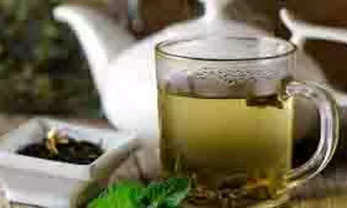 Health: ग्रीन टी में नींबू मिलाकर पिएं, शरीर को मिल सकते हैं कई बेहतरीन फायदे