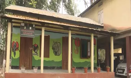 Assam: पोबितोरा वन्यजीव अभयारण्य में पर्यटकों और राजस्व में वृद्धि देखी गई Assam: पोबितोरा वन्यजीव अभयारण्य में पर्यटकों और राजस्व में वृद्धि देखी गई