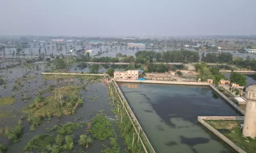 Haryana : हिसार में नहर टूटने से बिजली आपूर्ति बाधित Haryana : हिसार में नहर टूटने से बिजली आपूर्ति बाधित