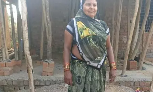 मानकी की मेहनत और बिहान योजना का सहयोग मानकी की मेहनत और बिहान योजना का सहयोग