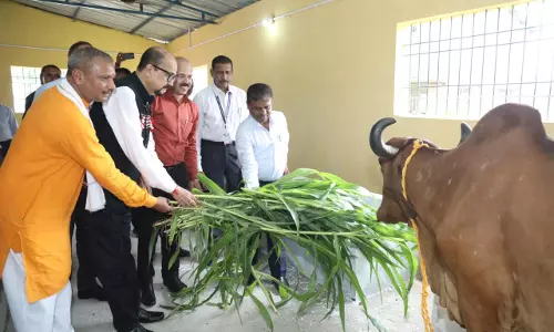 राज्यपाल रमेन डेका ने गौशाला का किया लोकार्पण राज्यपाल रमेन डेका ने गौशाला का किया लोकार्पण