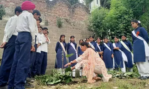 Jayadevi सीनियर सेकेंडरी स्कूल में बागवानी प्रथाओं पर जागरूकता कार्यशाला Jayadevi सीनियर सेकेंडरी स्कूल में बागवानी प्रथाओं पर जागरूकता कार्यशाला
