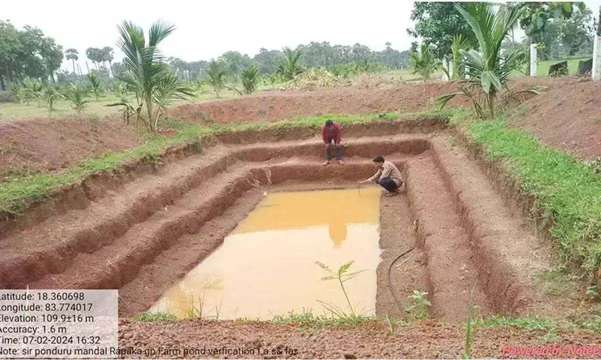 Andhra: 50,000 कृषि तालाबों का निर्माण पूरा हुआ