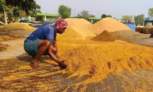 Medak में घातक दुर्घटनाओं के लिए सड़कों पर सूख रहे धान को जिम्मेदार ठहराया गया Medak में घातक दुर्घटनाओं के लिए सड़कों पर सूख रहे धान को जिम्मेदार ठहराया गया