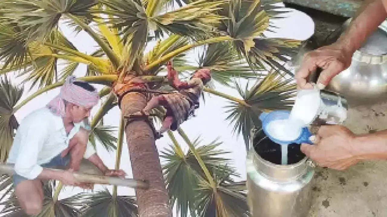 Telangana: गर्मी से राहत पाने के लिए सुपर ड्रिंक नीरा का आनंद लें Telangana: गर्मी से राहत पाने के लिए सुपर ड्रिंक नीरा का आनंद लें